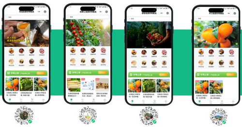 麗江特產平臺招募加盟商，首批限量100名，月入2萬不是夢