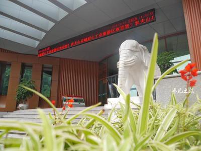 農夫山泉礦泉水多少毫升一瓶？常見規格一覽